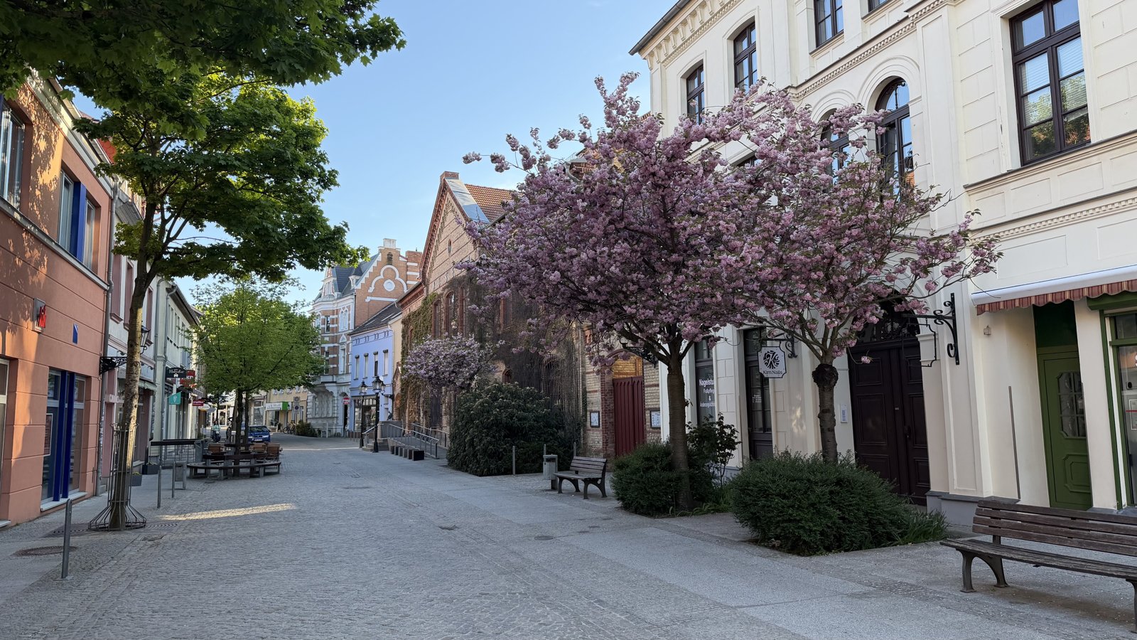 A cobblestone street lined with traditional buildings.